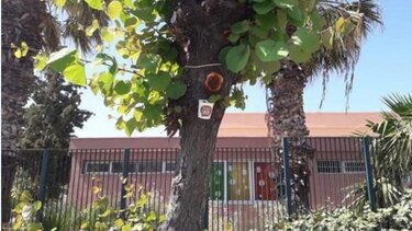 Κουτσουπιές βιολογική προστασία