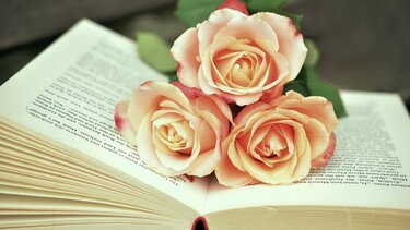 λουλούδια μεσα σε βιβλίο