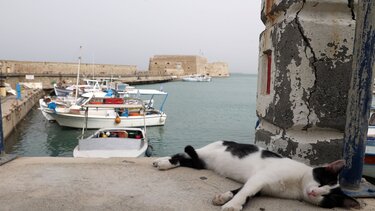 Αφρικανική σκόνη, Νοτιάδες