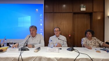 arnaoutakis perifereiako.