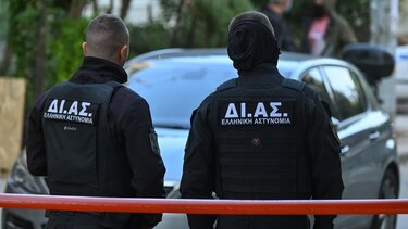 Αστυνομικοί, ΕΛΑΣ, Ομάδα ΔΙΑΣ