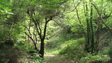 πεζοπορικές διαδρομές