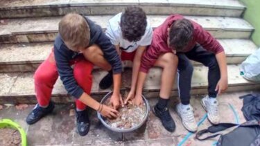 Γυμνάσιο Αλικιανού, Εκπαιδευτική δράση