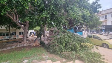 Έσπασε μεγάλο κλαδί στη Λ.Δημοκρατίας - Από τύχη δεν υπήρξε τραυματισμός (Φωτογραφίες)