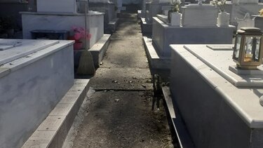 «Θυμός για την απαράδεκτη, προσβλητική και τριτοκοσμική εικόνα του Κοιμητηρίου Ηρακλείου»
