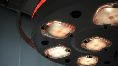 μεταμόσχευση