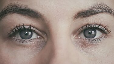 Μάτια, Όραση