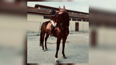 Ραφαέλα Κουμουλά