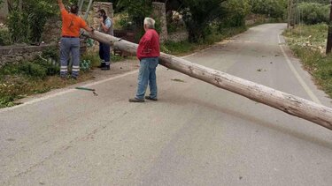 Ρέθυμνο, πτώση δέντρου