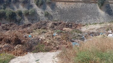 Χωματερή, Ευκάλυπτος 