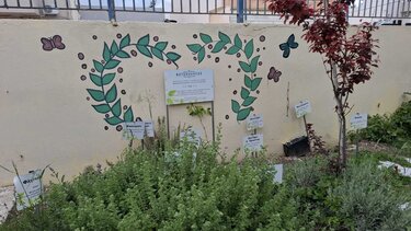 A' Βραβείο στον βοτανόκηπο του 10ου ΓΕΛ Ηρακλείου