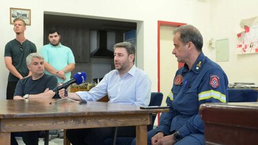 Νίκος Ανδρουλάκης, Πυροσβεστική