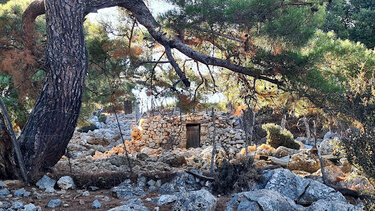 Δάσος Κρουστά