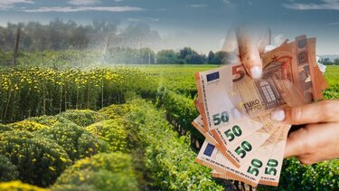 επιδοτήσεις χρήματα