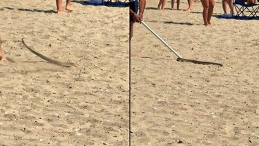 fidi xalkidiki paralia