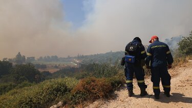 Φωτία, Χίος