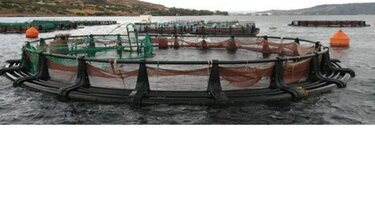 κλοπή ψάρια εκλεθε