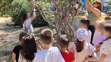 Παιδιά, Ζώα, 17ο Δημοτικό Σχολείο