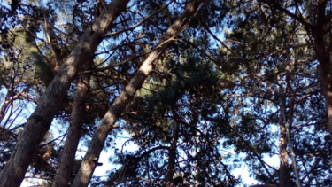 Πάρκο, Άη Γιάννης