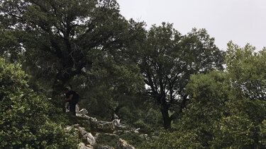 Περιοχές Natura