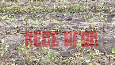 Θεσσαλία: «Έπεσε το μεγαλύτερο χαλάζι τα τα τελευταία 30 χρόνια», λέει ο Θοδωρής Κολυδάς