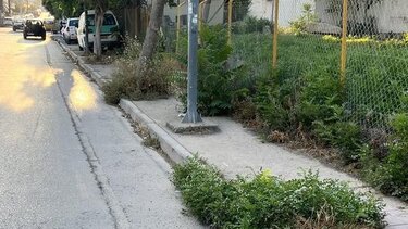 Χόρτα πεζοδρόμια