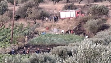 Φωτιά στις Μελέσες - Επί ποδός η Πυροσβεστική