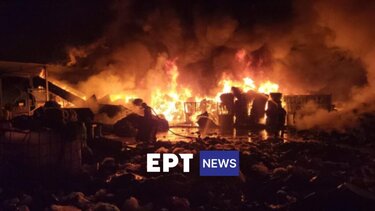 φωτια μυτιλήνη