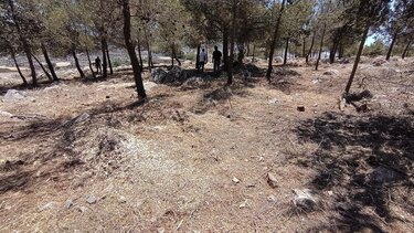 Αντιπυρικές χερσόνησος