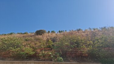 enetika teixi xera xorta.