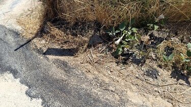 εργα οπτικών ινών