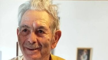 Εξαφάνιση, Πλατανιάς