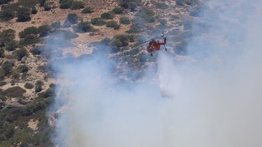 Φωτιά Ιεράπετρα