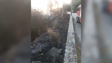 Πυρκαγιά Χάρκια