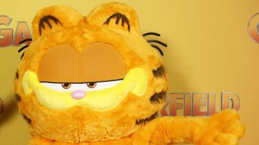 garfield
