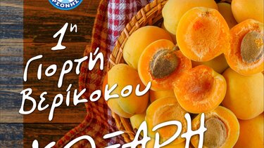 γιορτή βερίκοκου