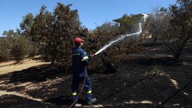 καμένη έκταση
