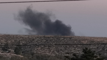 Καπνός βιομηχανική