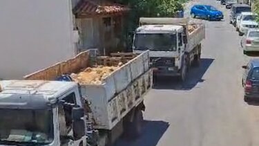 μεταφορά ζώων