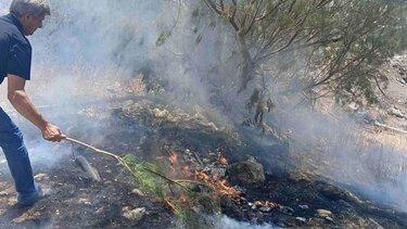 Φωτιά, Κουτσουνάρι