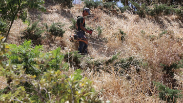 teixi katharismos xorta