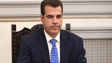 Θάνος Πλεύρης