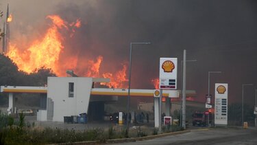 Κόλαση φωτιάς στην Αχαΐα: Τραυματίες, εκκενώσεις οικισμών και καταστροφές σε επιχειρήσεις