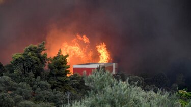 Κόλαση φωτιάς στην Αχαΐα: Τραυματίες, εκκενώσεις οικισμών και καταστροφές σε επιχειρήσεις
