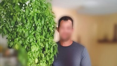 βασιλικός γλάστρα 