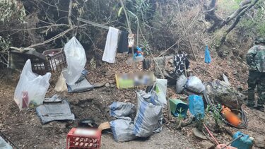 Δενδρύλλια χασίς, Ρέθυμνο