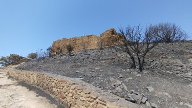 Καμένα, χίος