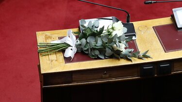 Λουλούδια, Βουλή, Βεσυρόπουλος