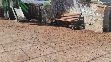 "Σε άθλια κατάσταση η παιδική χαρά στον Πόρο"