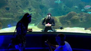 πρόταση γάμου